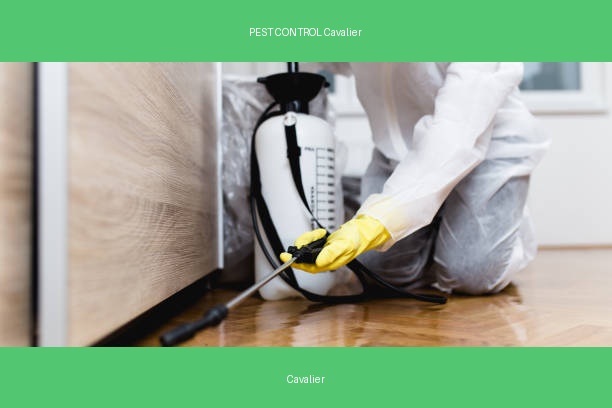 PEST CONTROL Cavalier